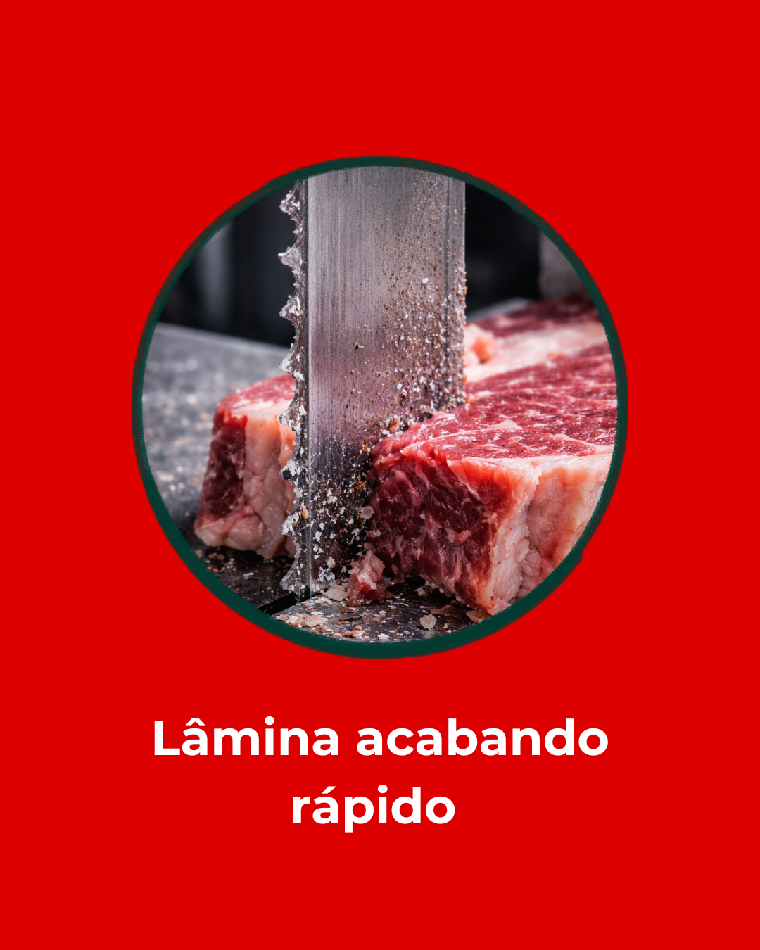 Linha Industrial (4)