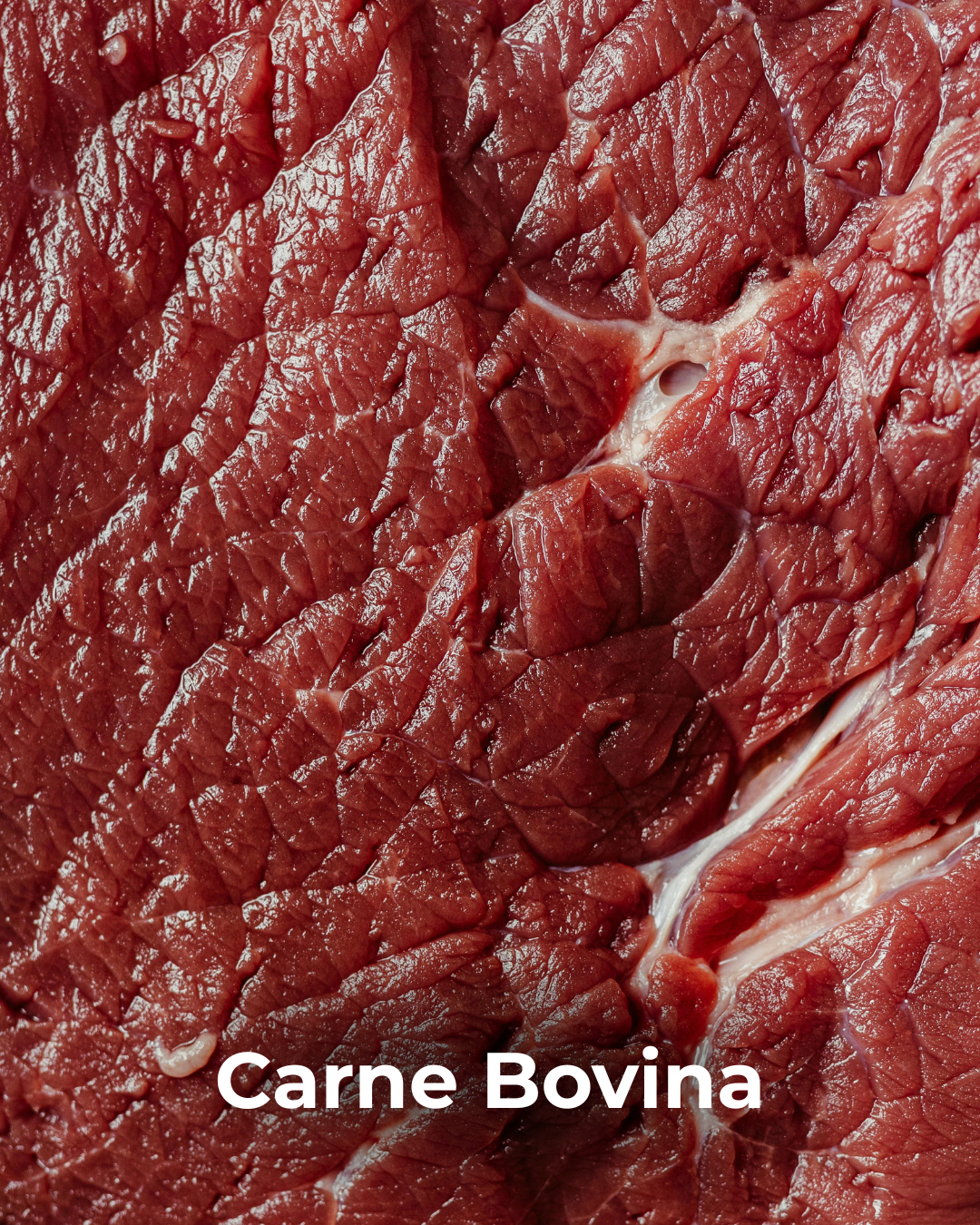 Linha Industrial (6)