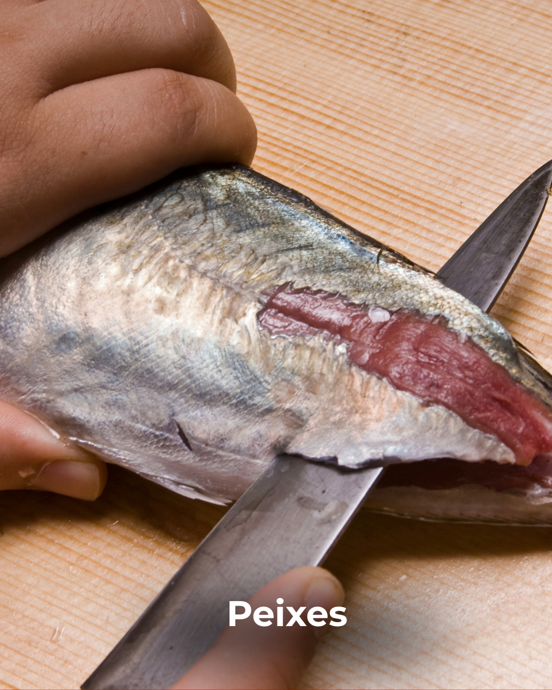 Linha Industrial (8)